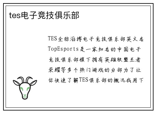 tes电子竞技俱乐部